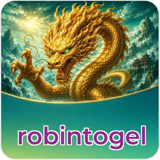 Audit profile robintogel